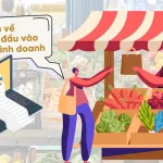 Hộ Kinh Doanh Có Cần Lấy Hóa Đơn Đầu Vào Không Hay Chỉ Cần Đầu Ra? Cục Thuế Chính Thức Giải Đáp